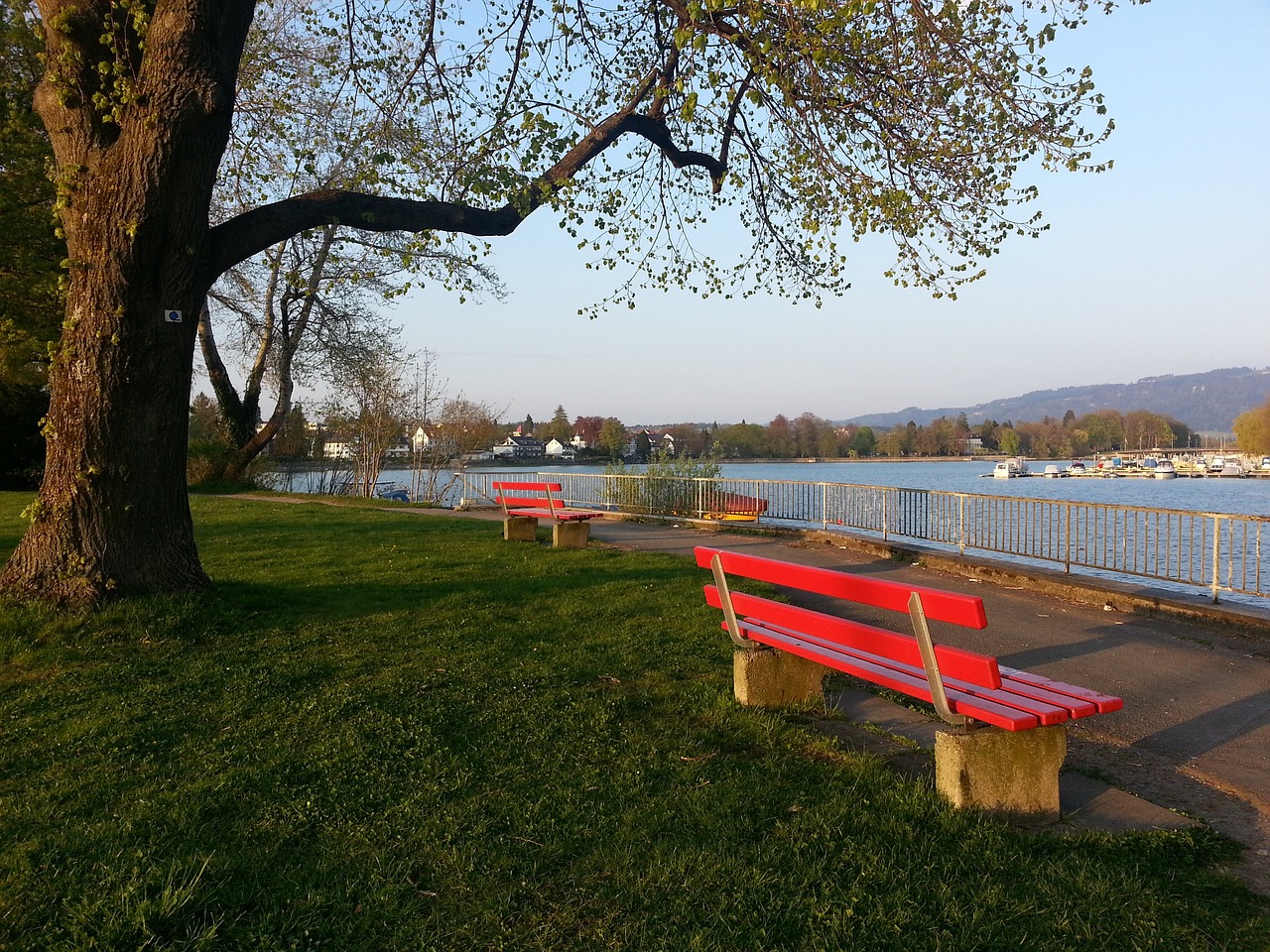 遇了停水停 遇了停水停