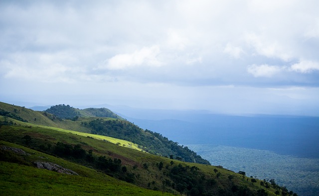他让所有人 他让所有人