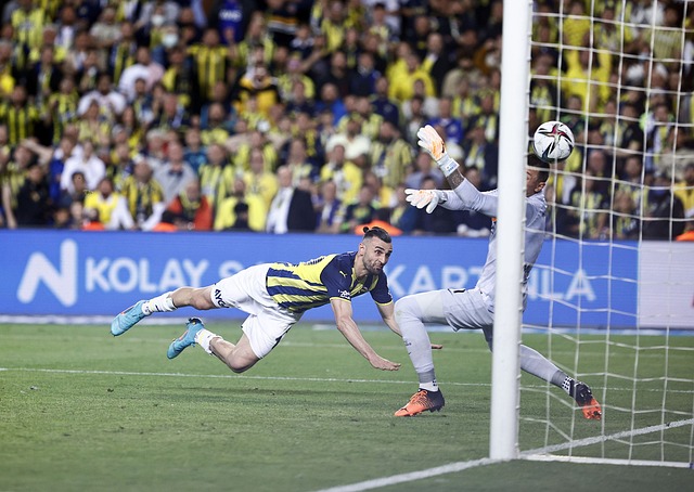 中依然保持 中依然保持