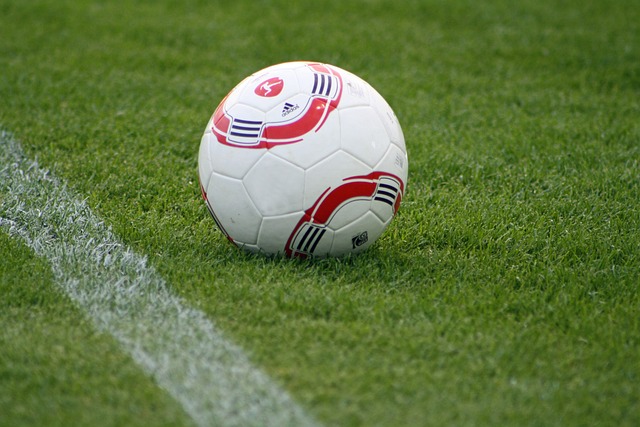 色的投射能 色的投射能