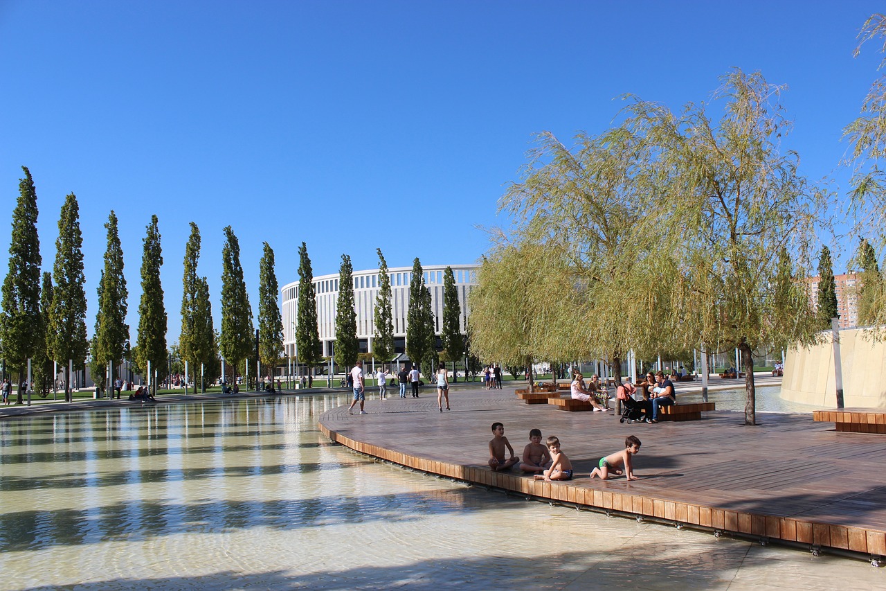 也彰显了这 也彰显了这