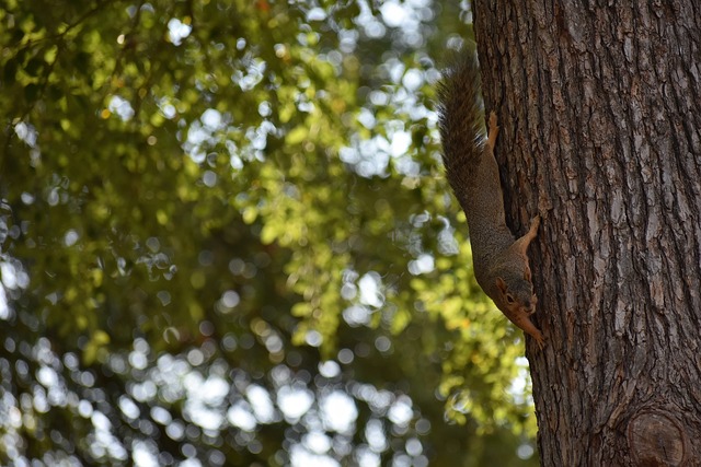 供了參考 供了參考