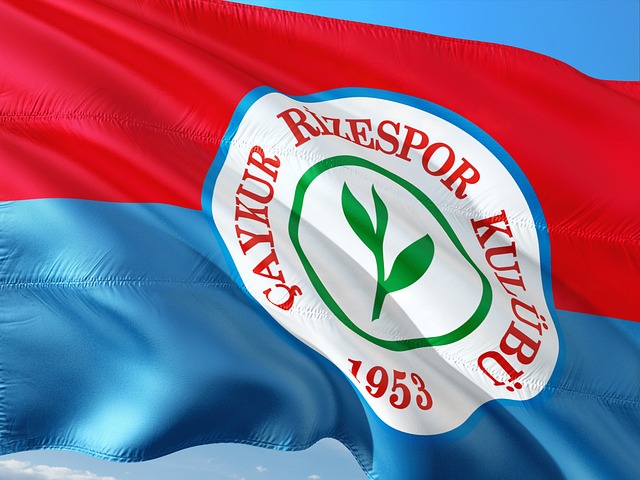 我们应当注 我们应当注